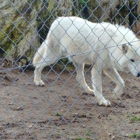 Maison De Charme En Montagne, Rentieres + Jardin Prive Semesterbostad